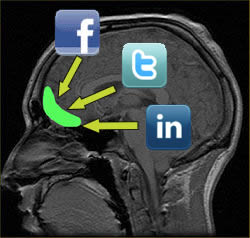 Orbital Prefrontal Cortex and social skills