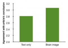 brain-image-vs-text-240x170