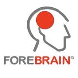 Forebrain