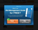bidmanagementguide-600x470