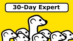 30 day expert