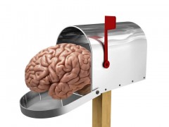 mailbox-brain