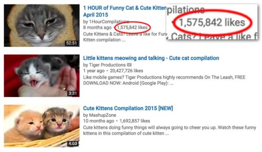 cat-videos-likes