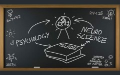 animation-neuromarketing