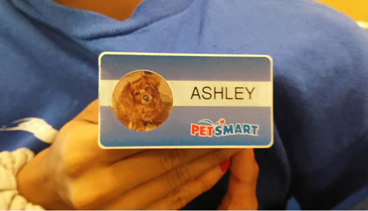 petsmart tag