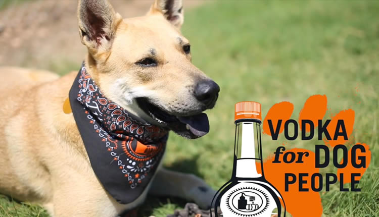 vodka for dog people