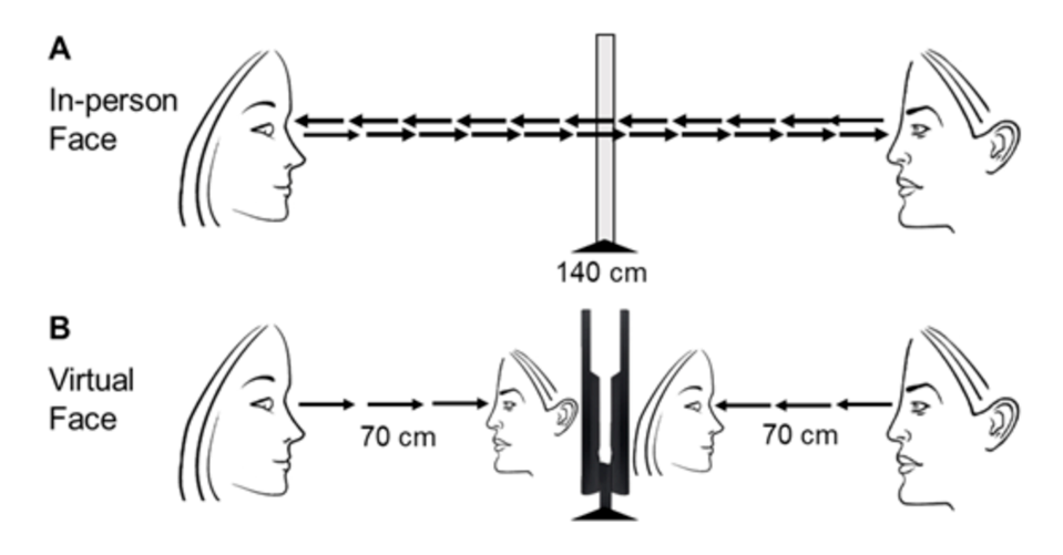 face to face vs. zoom-like