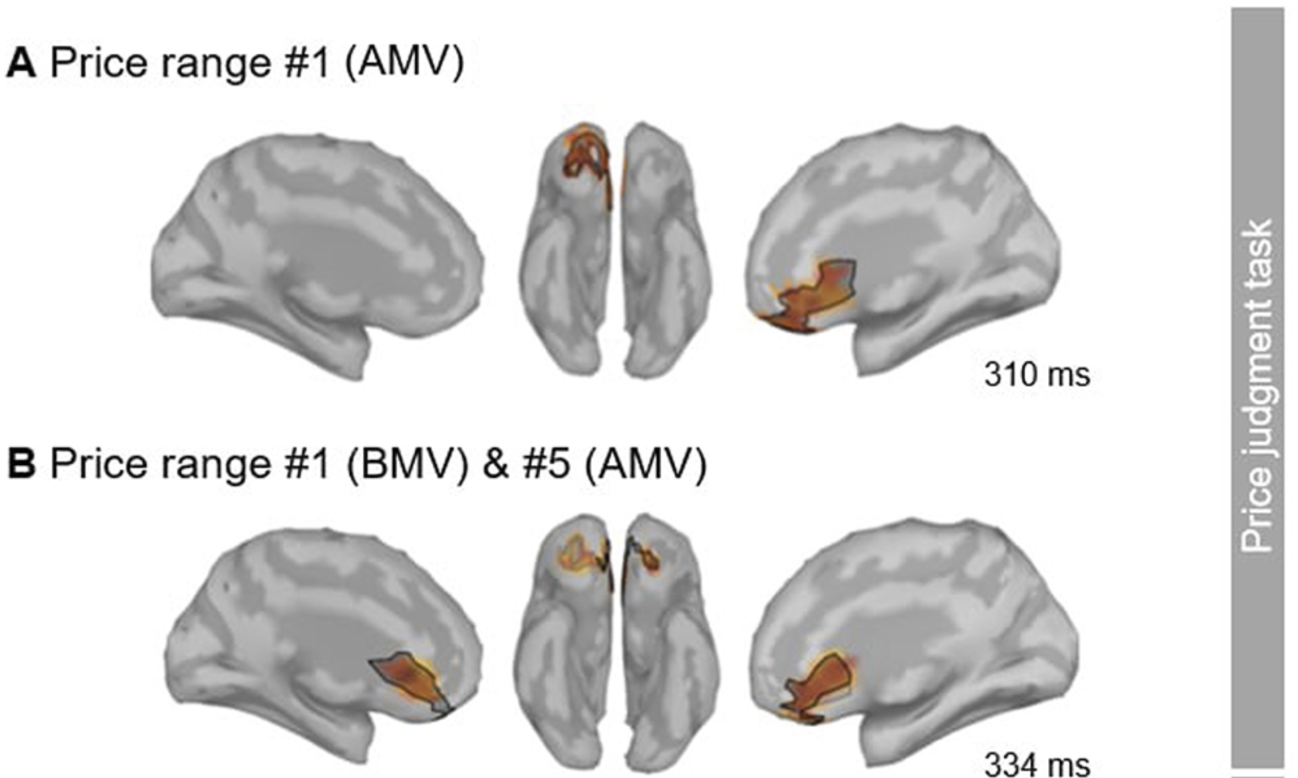 brain areas activated by prices